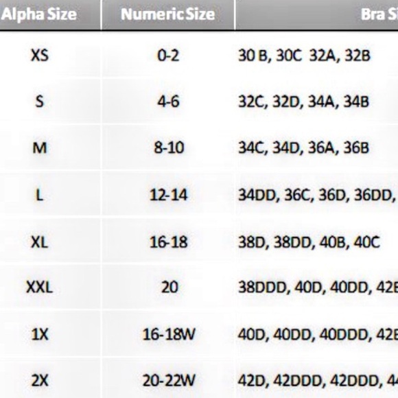 NWT Decree Floral HighWaist Cheeky Bikini Swimsuit - Picture 15 of 16